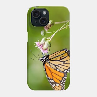 Monarch's Majesty. Phone Case