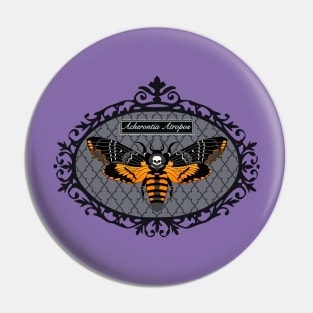 Death's Head HawkMoth Framed Pin