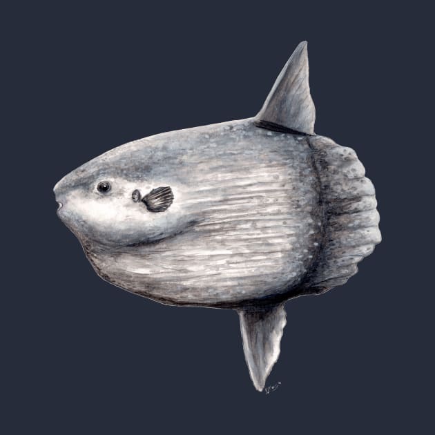 Ocean sunfish (Mola mola) by chloeyzoard