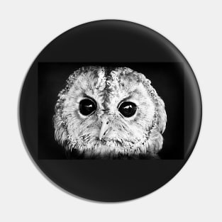 Little Tawny Owl Pin
