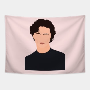 timothée chalamet faceless portrait Tapestry