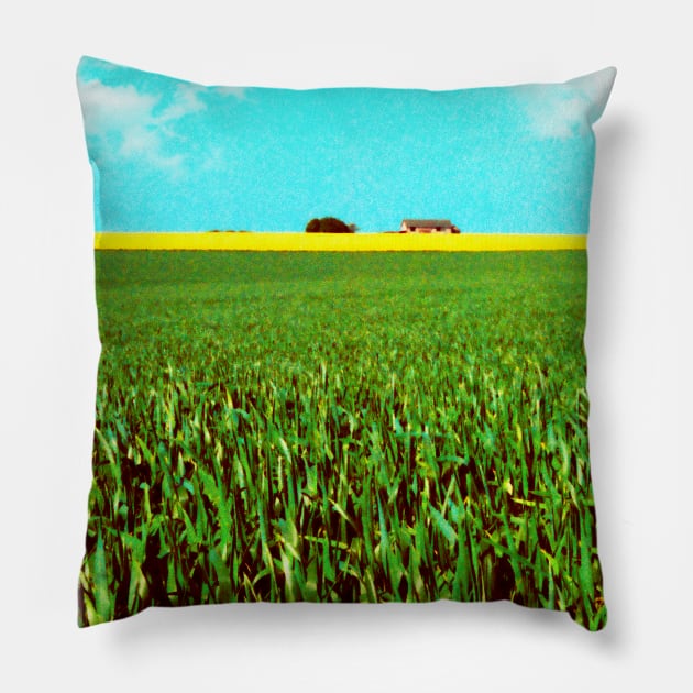 Oil Seed Prairie Pillow by JonDelorme