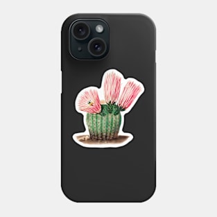 Gymnocalycium uruguayense cactus Phone Case