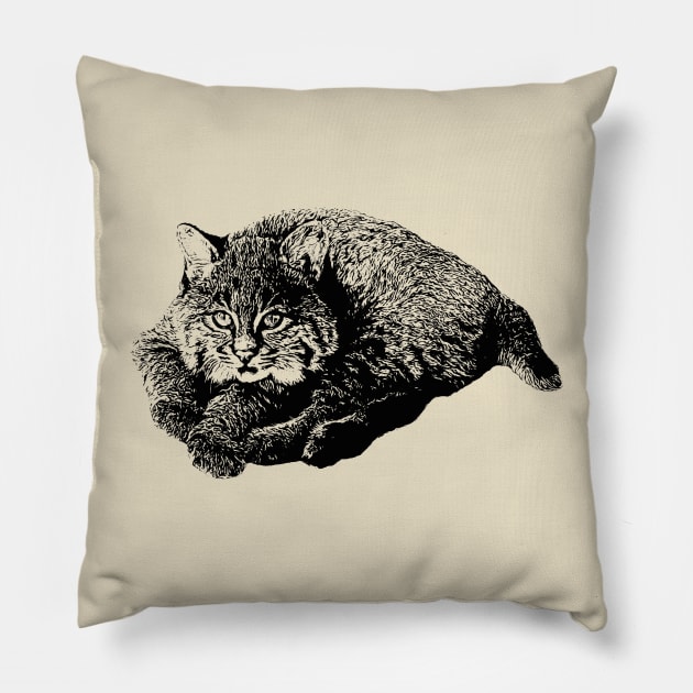 Bobcat cub Pillow by Guardi