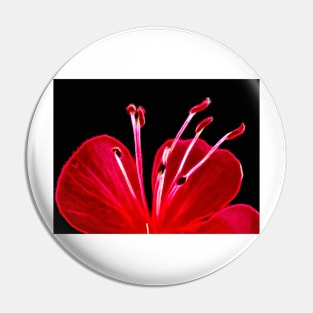 glowing vivid floral fantasy with delicate and intricate stamens Pin