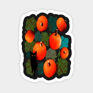 Pumpkins and Black Cats Magnet