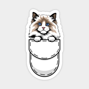 Funny Ragdoll Pocket Cat Magnet