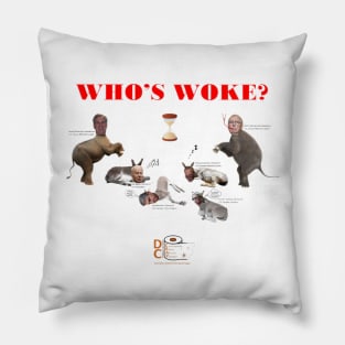 Who's Woke? Pillow