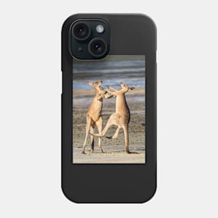 Boxing Kangaroos, Toorbul, Queensland Phone Case