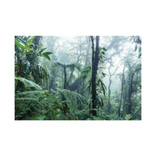 Monteverde Cloud Forest T-Shirt