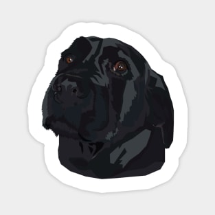 Black Lab Magnet