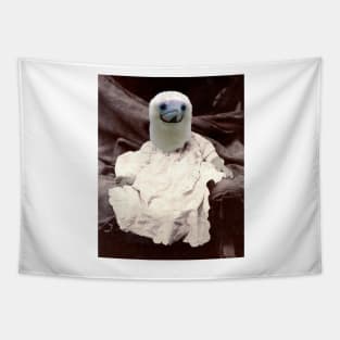 Baby Booby Tapestry