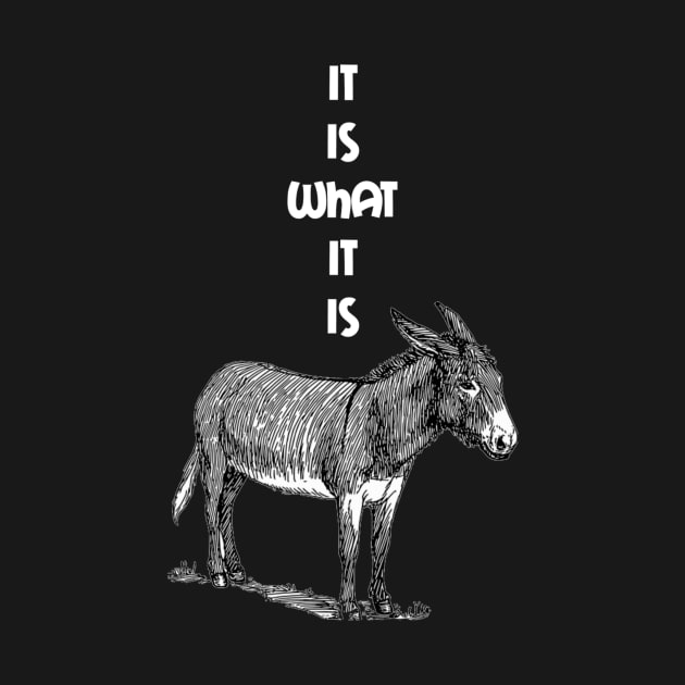 It is what it is Donkey by Walters Mom