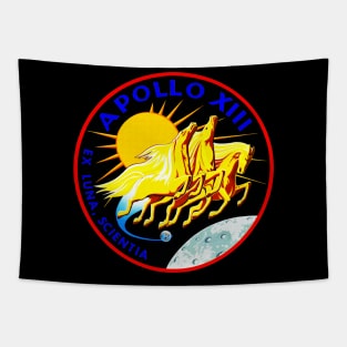 Black Panther Art - NASA Space Badge 4 Tapestry