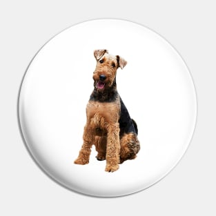 Airedale Terrier Stunning Dog Breed Pin