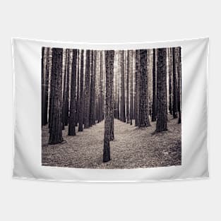 Speckled light & tall trees Tapestry