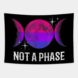 Not A Phase Bisexual Flag Shirt LGBT Bi Gay Pride Moon Gifts TShirt Tapestry