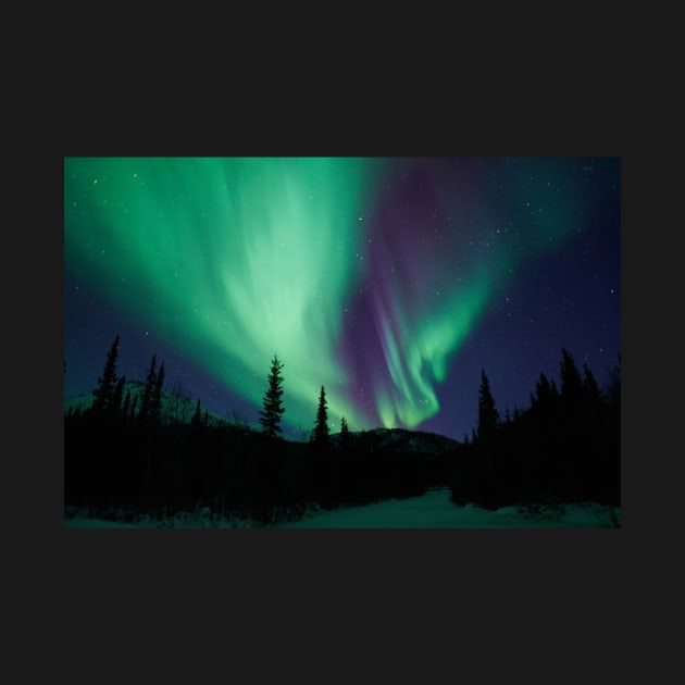 Alaskan Northern Lights by ACGraphics