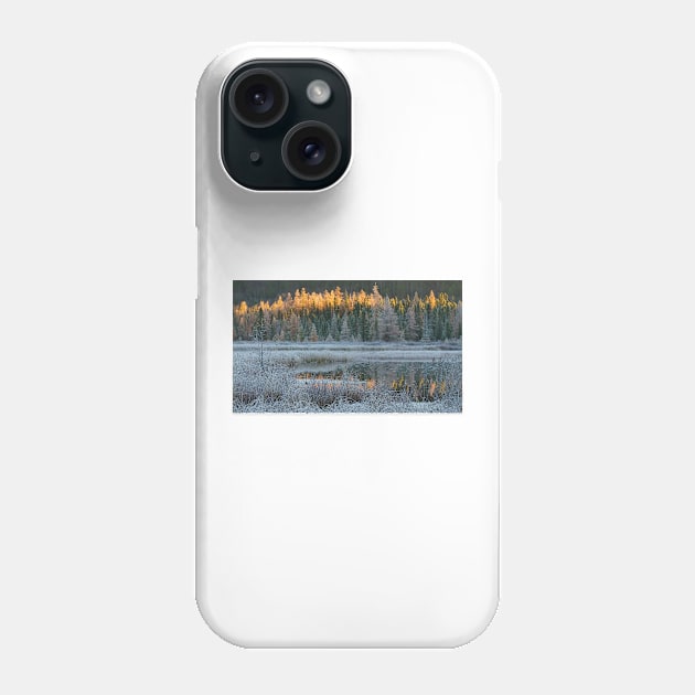 Early Fall, Algonquin Park, Canada Phone Case by Jim Cumming