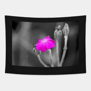 Magenta Flower Selective Color Photography Tapestry