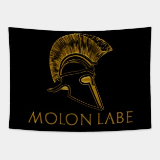 Molon Labe - Spartan / Gun Rights Shirt Tapestry