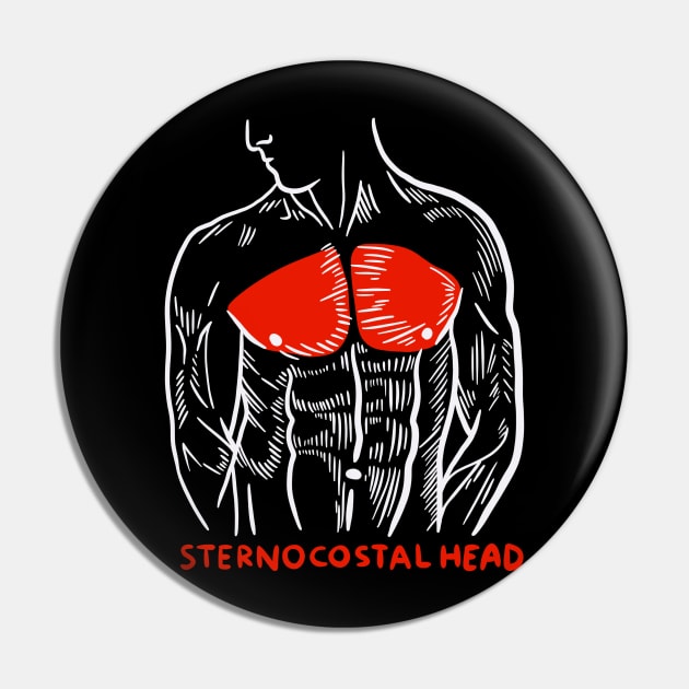 Weightlifting Gym Trainer Muscles Anatomy Sternocostal Head Pin by isstgeschichte