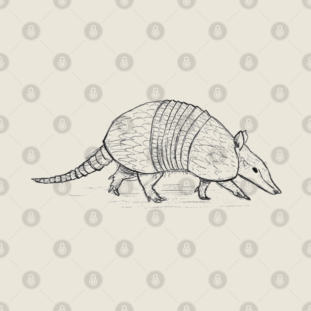 Armadillo by cowboyknees