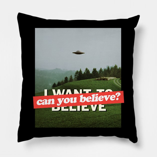 can u believe Pillow by disfor