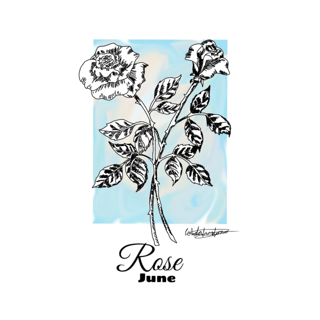 June birth flower - Rose by RebekahMahoney