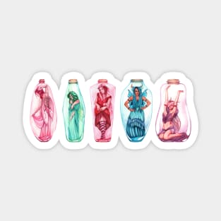 Rainbow Bottled Fairies Magnet