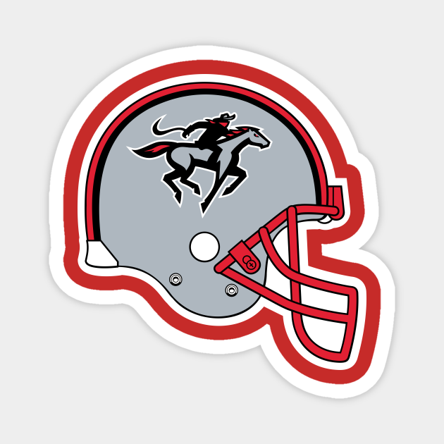Tampa Bay Bandits 2022 Retro Football Throwback Helmet Throwback