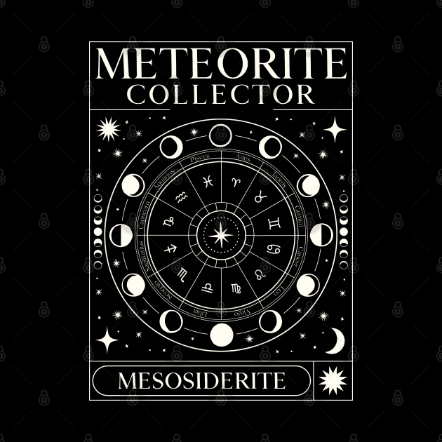 Meteorite Collector Mesosiderite Meteorite Meteorite by Meteorite Factory