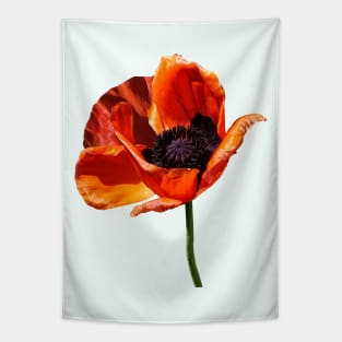 Red Poppy in Sunshine Tapestry