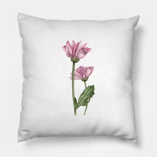 Love of Chrysanthemums Pillow