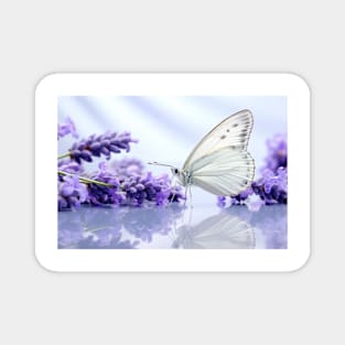 Butterfly Water Nature Serene Tranquil Magnet