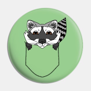 Cute Raccoon in the Pocket Pin