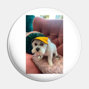 Funny white maltese dog in hat Pin