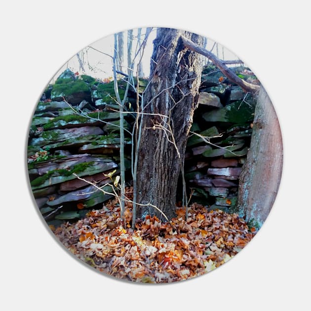 Old mossy rock wall in the forest Pin by Edwardtiptonart