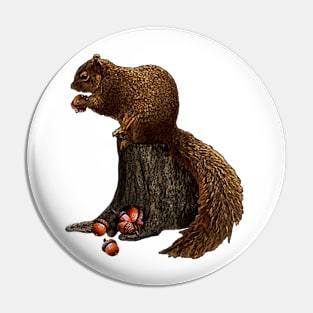 Lonely Squirrel Pin