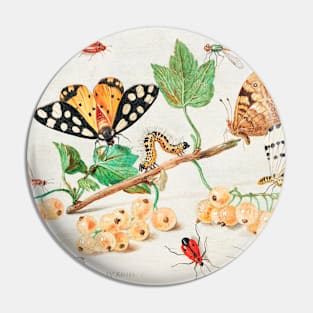 Insects and Fruits (1660–1665) Pin