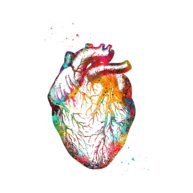 Heart Anatomy by erzebeth