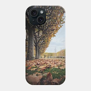 Beautiful day in the autumn park Phone Case