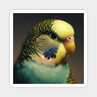 Budgie Magnet