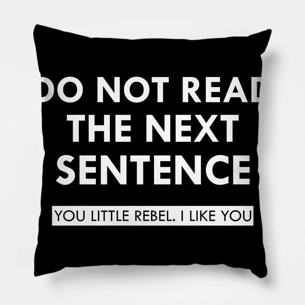 Do not read the next sentence you little rebel I like you Pillow by KC Happy Shop