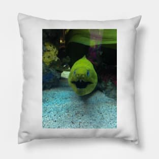 Crazy Fish Pillow