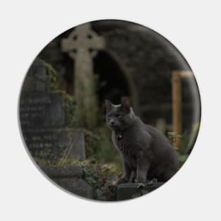 Hanwell Cemetery Cat Pin