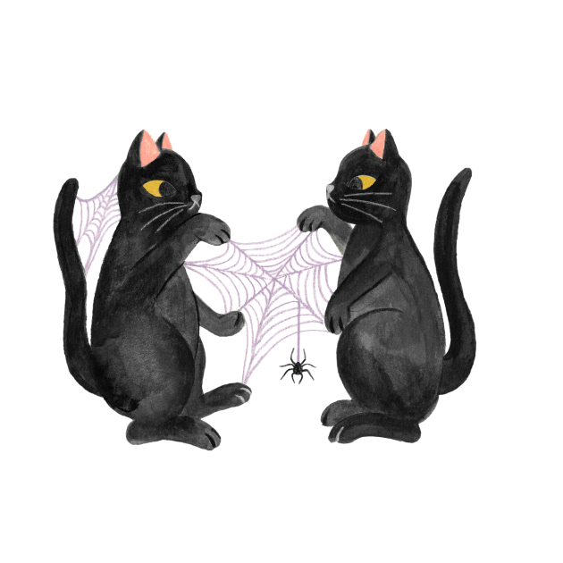 Discover cat's cradle - Black Cat - T-Shirt