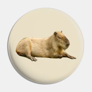 Lazy Sunday afternoon Capybara Pin