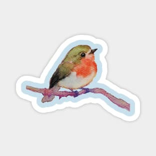 Robin Magnet