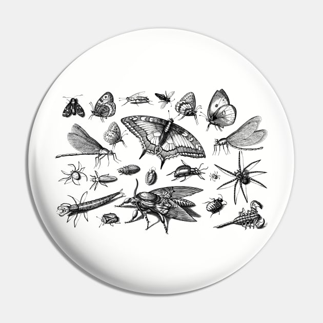 Insects Pin by AltrusianGrace